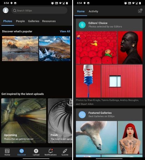 12 Best Instagram Alternatives for Android and iOS in 2024
