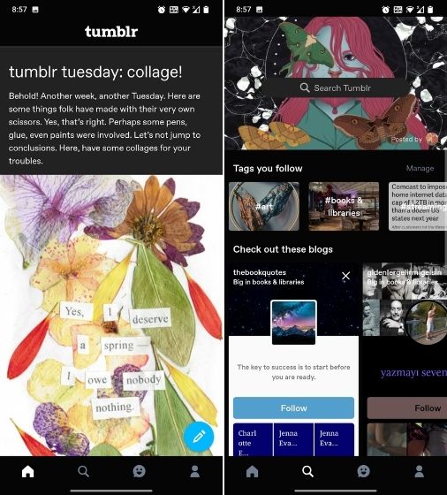 Tumblr interface
