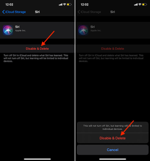 Disable-and-delete-Siri-in-iCloud-1