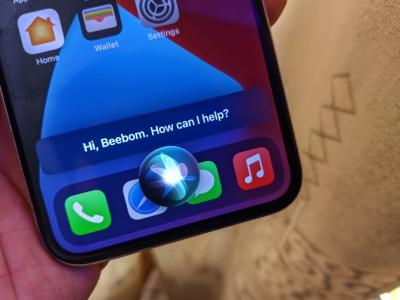 How to Use New Siri Voices in iOS 14.5 on iPhone and iPad