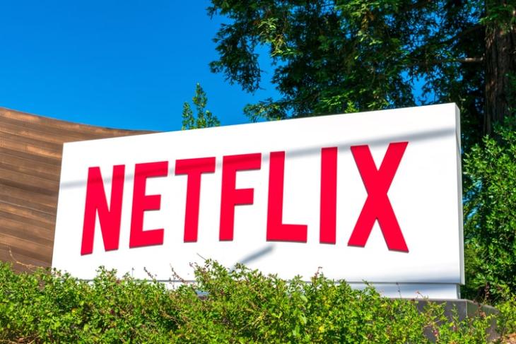 Netflix growth reduction in net new subscribers