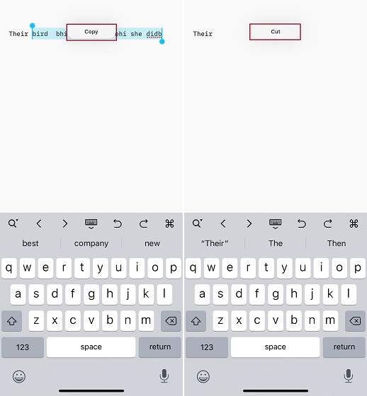 cut-copy-and-paste-using-gestures-on-iPhone
