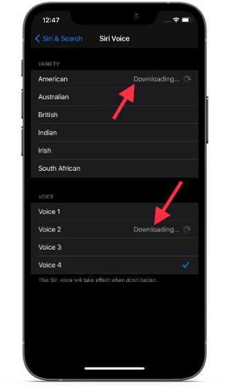 How to Use New Siri Voices in iOS 14 5 on iPhone and iPad - 92