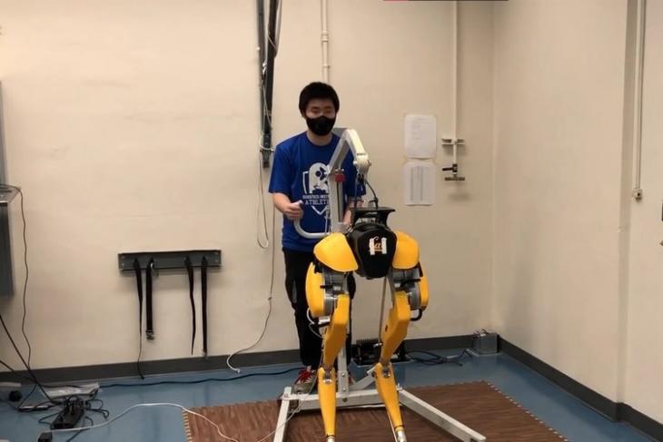 researchers taught this robot to learn to walk