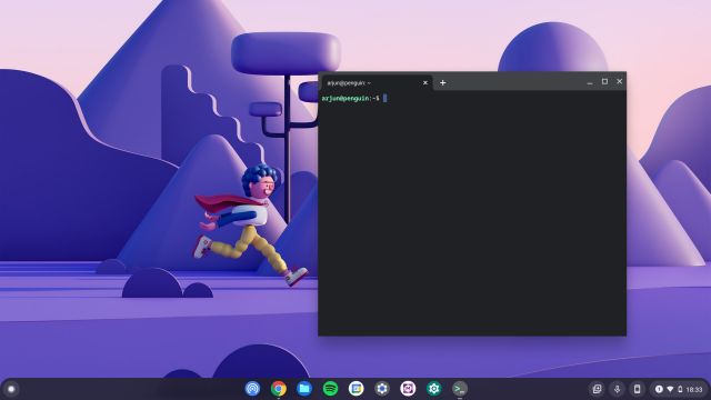 run linux on chromebook