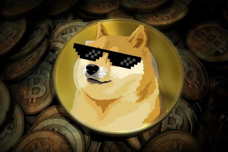 doge money