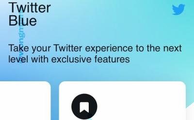 Twitter Blue Subscription Service to Include Undo Tweets and Collections