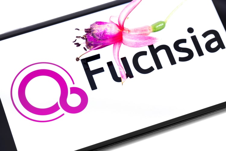 Google startet endlich die Einführung von Fuchsia OS für Nest Hub