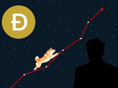 Elon Musk Says That He "Won't Be Selling His Doge"
