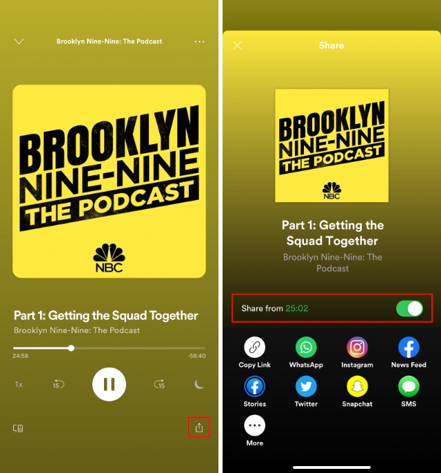 Spotify share timestamp