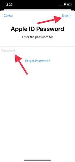 Apple ID password