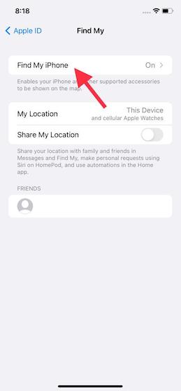 Choose Find My iPhone