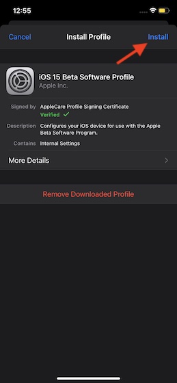 Hit Install - Download and Install iOS 15 Beta