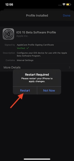 Restart - Download and Install iOS 15 Beta