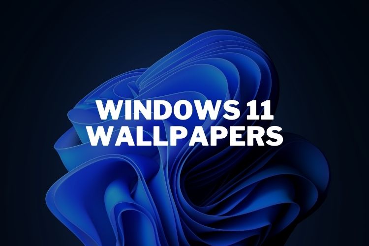Laden Sie jetzt die neuen Windows 11-Hintergründe herunter!