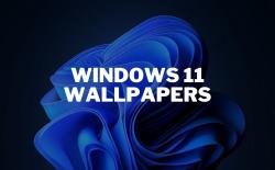 download windows 11 wallpapers right now