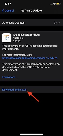 iOS 15 Beta-Download
