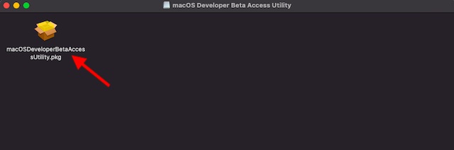 Macosdeveloperbetaaccessutility