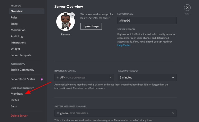 members section - transfer discord server ownership