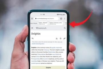 Chrome for Android Adds New Alternate Google Search Bar; Here's How to