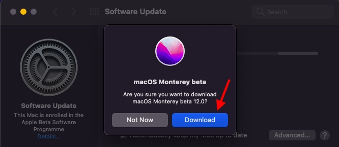 Klicken Sie auf Download - macOS Monterey Public Beta installieren