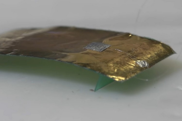 Researchers Built a Tiny, Cockroach-Inspired Robot