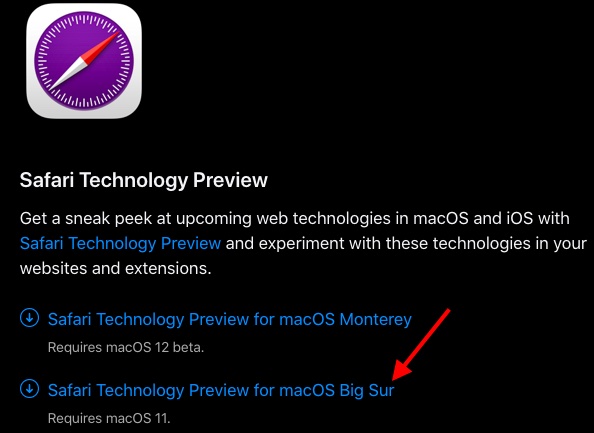 How to Get the New Safari Browser on macOS Big Sur  2021  - 45