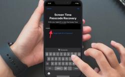 Forgot Screen Time Passcode? Here's How to Recover Screen Time Passcode on iPhone and Mac