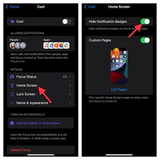 Hide Notification Badges on Home Screen 