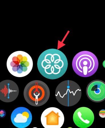 Open Mindfulness app on Apple Watch