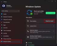 Windows 11 Update
