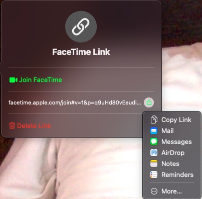 How to Use FaceTime on Windows in 2021  Guide  - 49