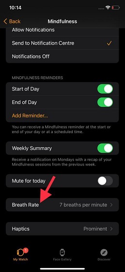 9 Tips to Use Mindfulness in watchOS 8 on Apple Watch - 6