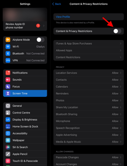 Toggle On iPad Parental Controls 