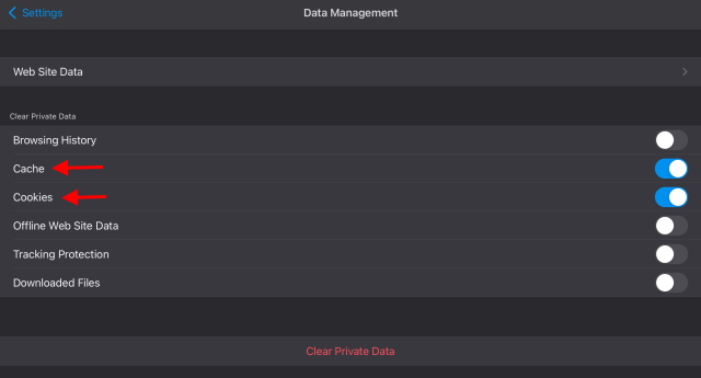 clear cache and cookies ipad firefox