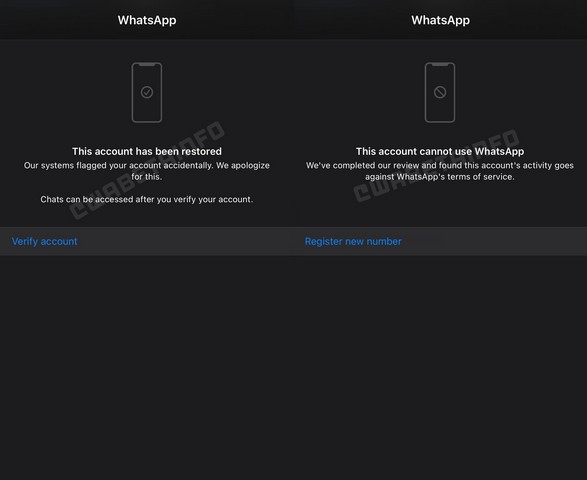WhatsApp позволит заблокированным пользователям «запросить проверку» разблокировать их учетные записи в приложении