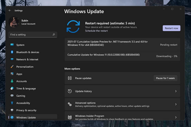Windows 11 Insider Preview Build 22000.100