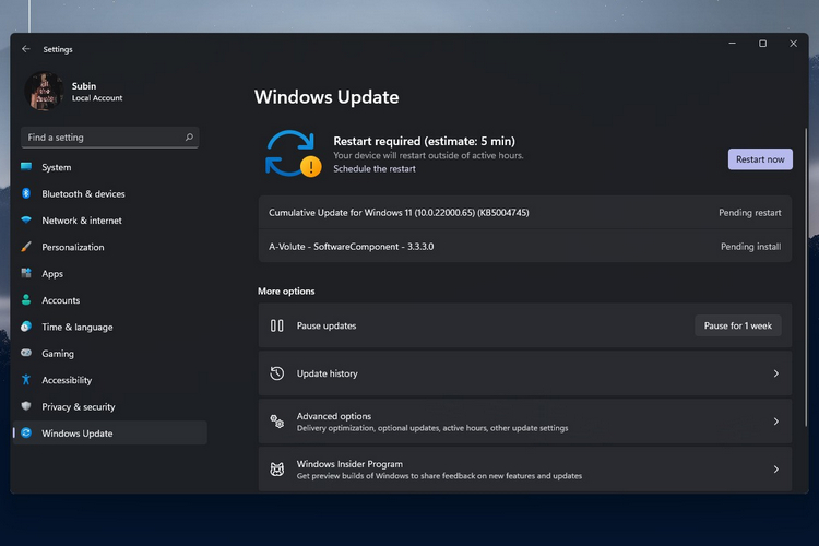 Windows 11 Insider Preview Build 22000.65
