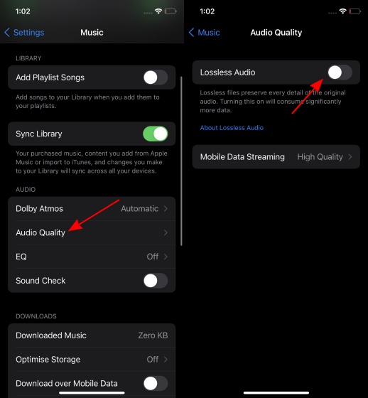 enable lossless audio in Apple music on iphone