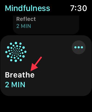 9 Tips to Use Mindfulness in watchOS 8 on Apple Watch - 67