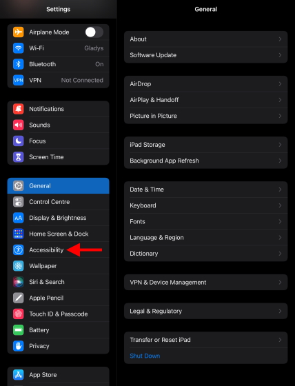 Скриншот iPad со специальными возможностями