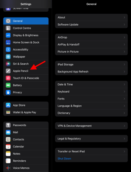 Apple Pencil settings in iPad