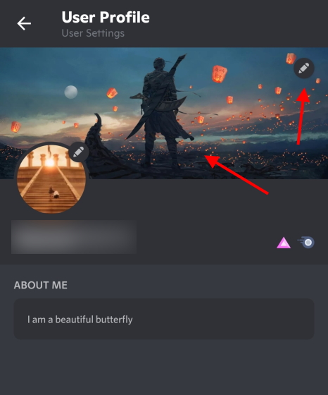 Discord Profile Example