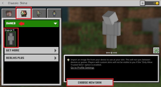 Choose Skins Option in Minecraft Bedrock