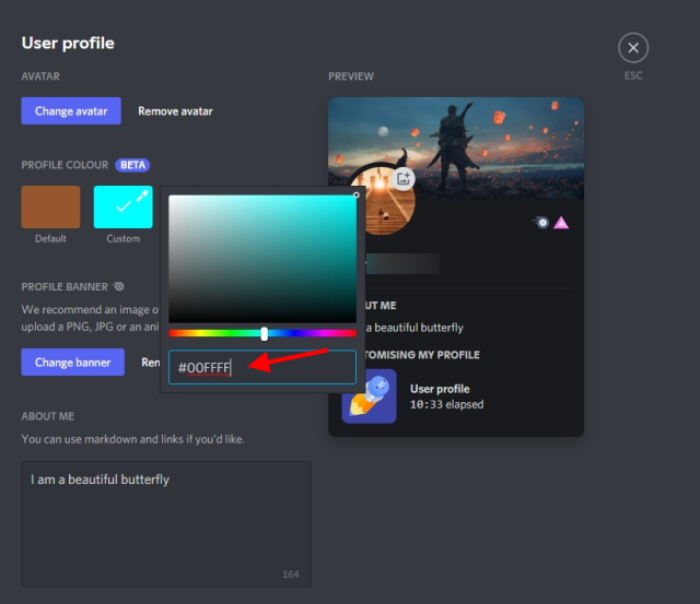 Custom Profiles – Discord