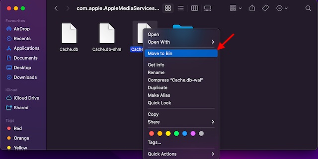 Delete Other storage on mac