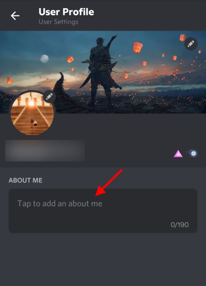 Custom Profiles – Discord