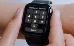 Forgot Apple Watch Password? Here is How to Reset It Without Losing Data