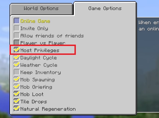 Host Privileges in Minecraft Console