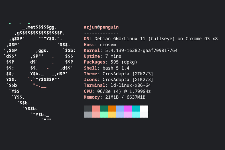 How to Update Linux to Debian Bullseye on Your Chromebook
https://beebom.com/wp-content/uploads/2021/08/How-to-Update-to-Debian-Bullseye-on-Your-Chromebook.jpg